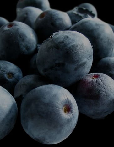 Why did blueberries get so big?