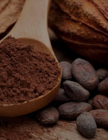 Working towards sustainable cocoa